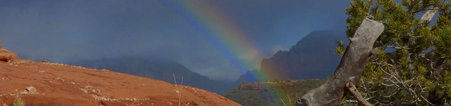 Arizona Dyslexia Tests Intervention Remediation Support