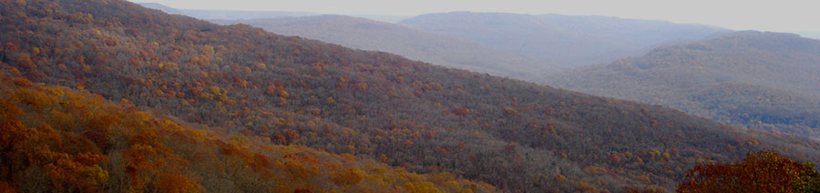 Arkansas Dyslexia Tests Intervention Remediation Support