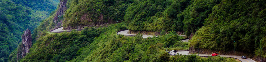 Brazil Dyslexia Tests Intervention Remediation Support