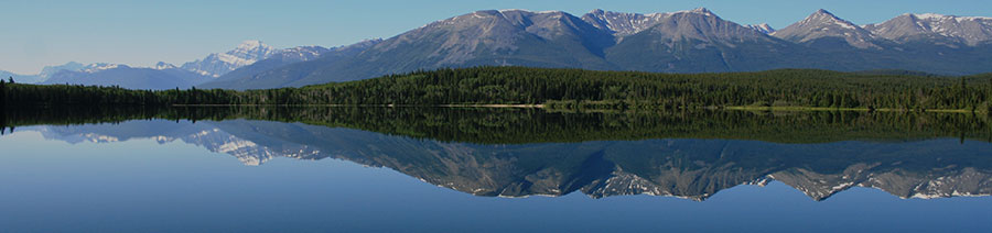 Canada Dyslexia Tests Intervention Remediation Support