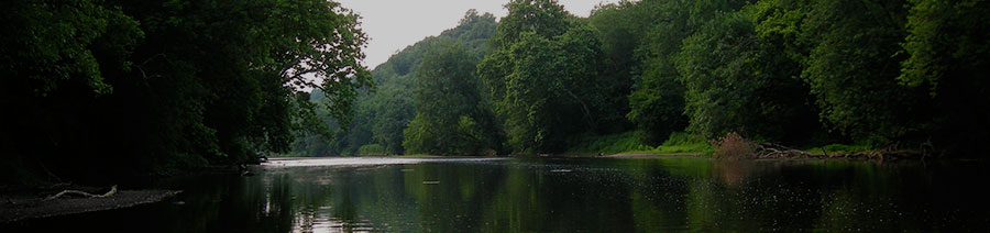 Delaware Dyslexia Tests Intervention Remediation Support