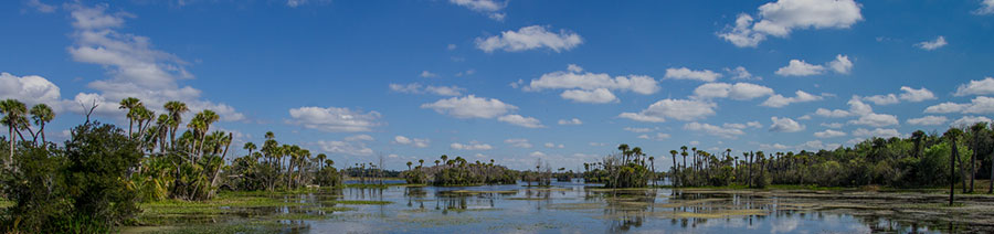 Florida Dyslexia Tests Intervention Remediation Support