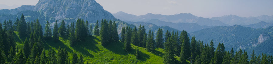 Germany Dyslexia Tests Intervention Remediation Support