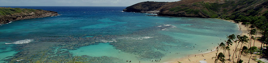 Hawaii Dyslexia Tests Intervention Remediation Support