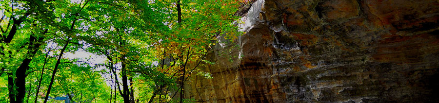 Illinois Dyslexia Tests Intervention Remediation Support