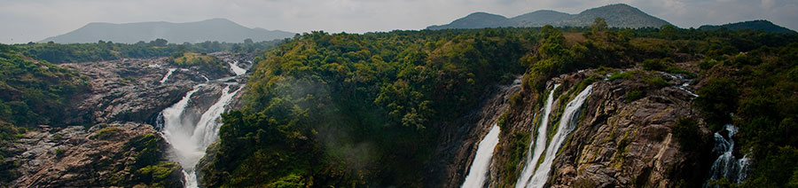 India Dyslexia Tests Intervention Remediation Support