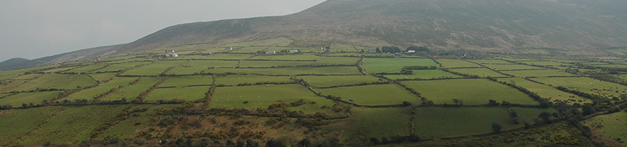 Ireland Dyslexia Tests Intervention Remediation Support