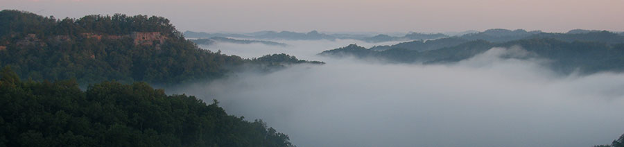 Kentucky Dyslexia Tests Intervention Remediation Support