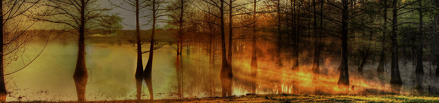 Louisiana Dyslexia Tests Intervention Remediation Support