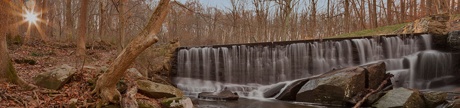 Maryland Dyslexia Tests Intervention Remediation Support