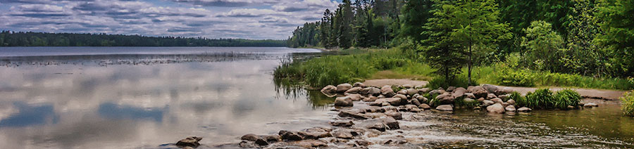 Minnesota Dyslexia Tests Intervention Remediation Support