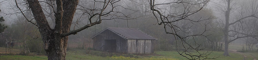 Mississippi Dyslexia Tests Intervention Remediation Support