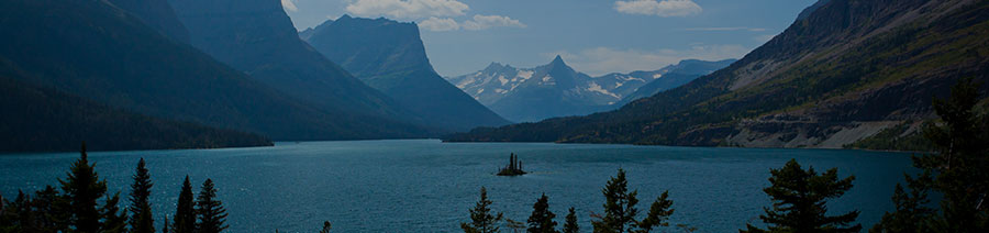 Montana Dyslexia Tests Intervention Remediation Support