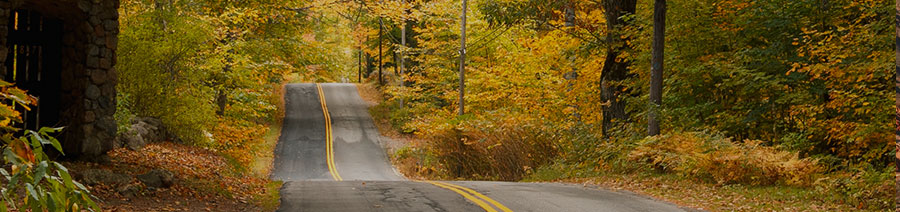 New Hampshire Dyslexia Tests Intervention Remediation Support