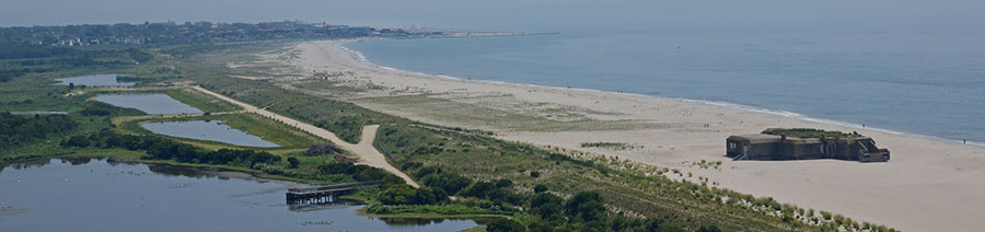 New Jersey Dyslexia Tests Intervention Remediation Support