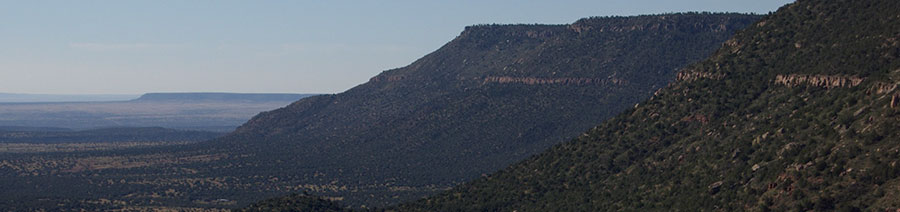 New Mexico Dyslexia Tests Intervention Remediation Support