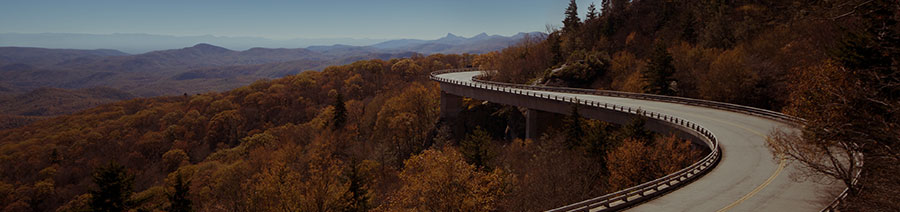 North Carolina Dyslexia Tests Intervention Remediation Support