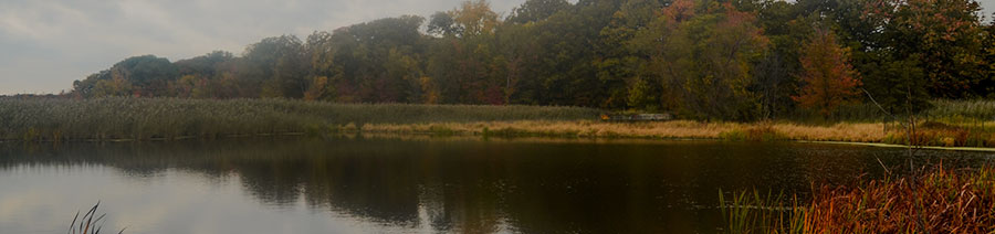 Ohio Dyslexia Tests Intervention Remediation Support