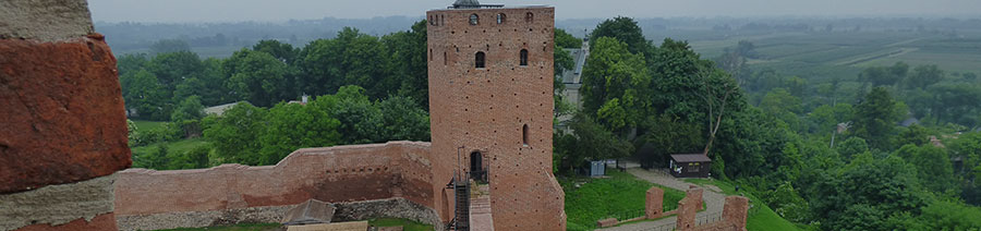 Poland Dyslexia Tests Intervention Remediation Support