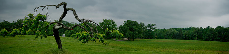 Tennessee Dyslexia Tests Intervention Remediation Support