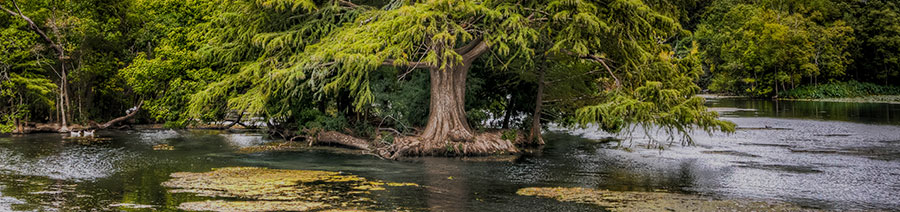 Texas Dyslexia Tests Intervention Remediation Support