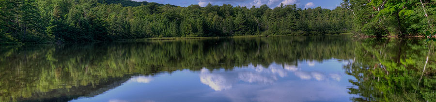 Vermont Dyslexia Tests Intervention Remediation Support