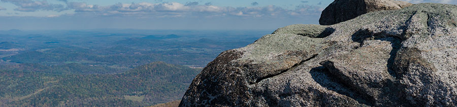 Virginia Dyslexia Tests Intervention Remediation Support