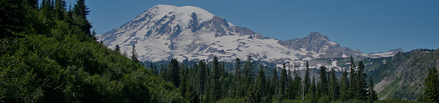 Washington Dyslexia Tests Intervention Remediation Support