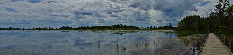 Wisconsin Dyslexia Tests Intervention Remediation Support